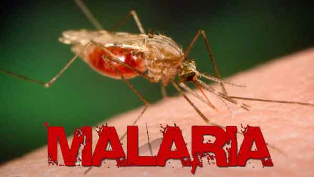 FILE: Malaria