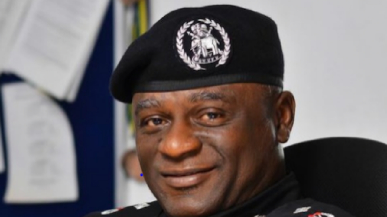 Acting Inspector General of Police, Tunji Disu