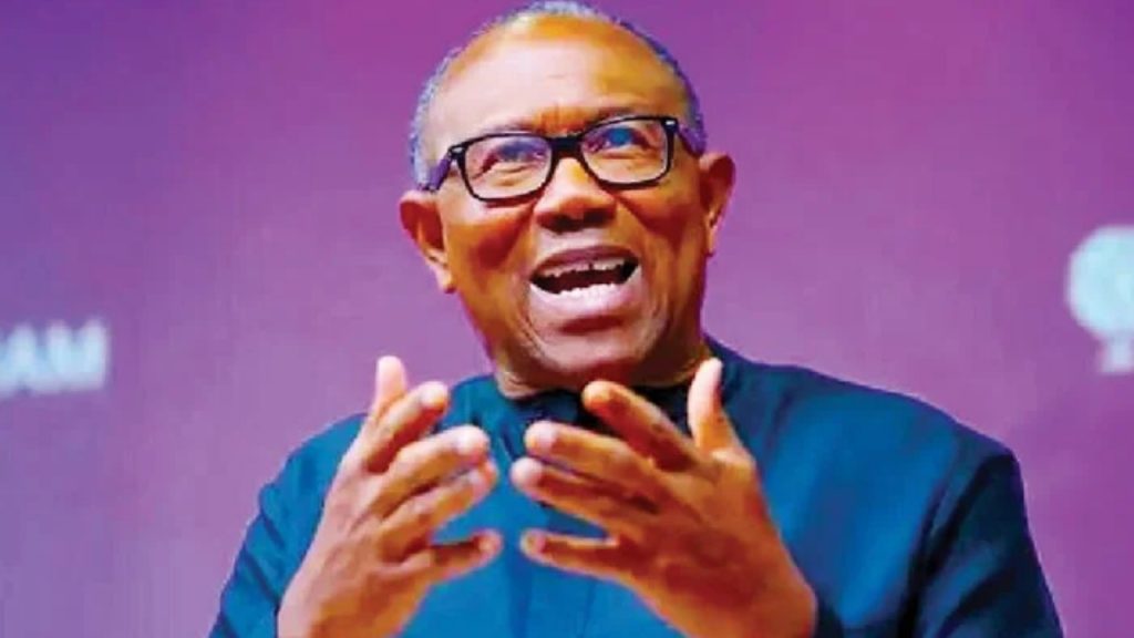 Former presidential candidate, Peter Obi
