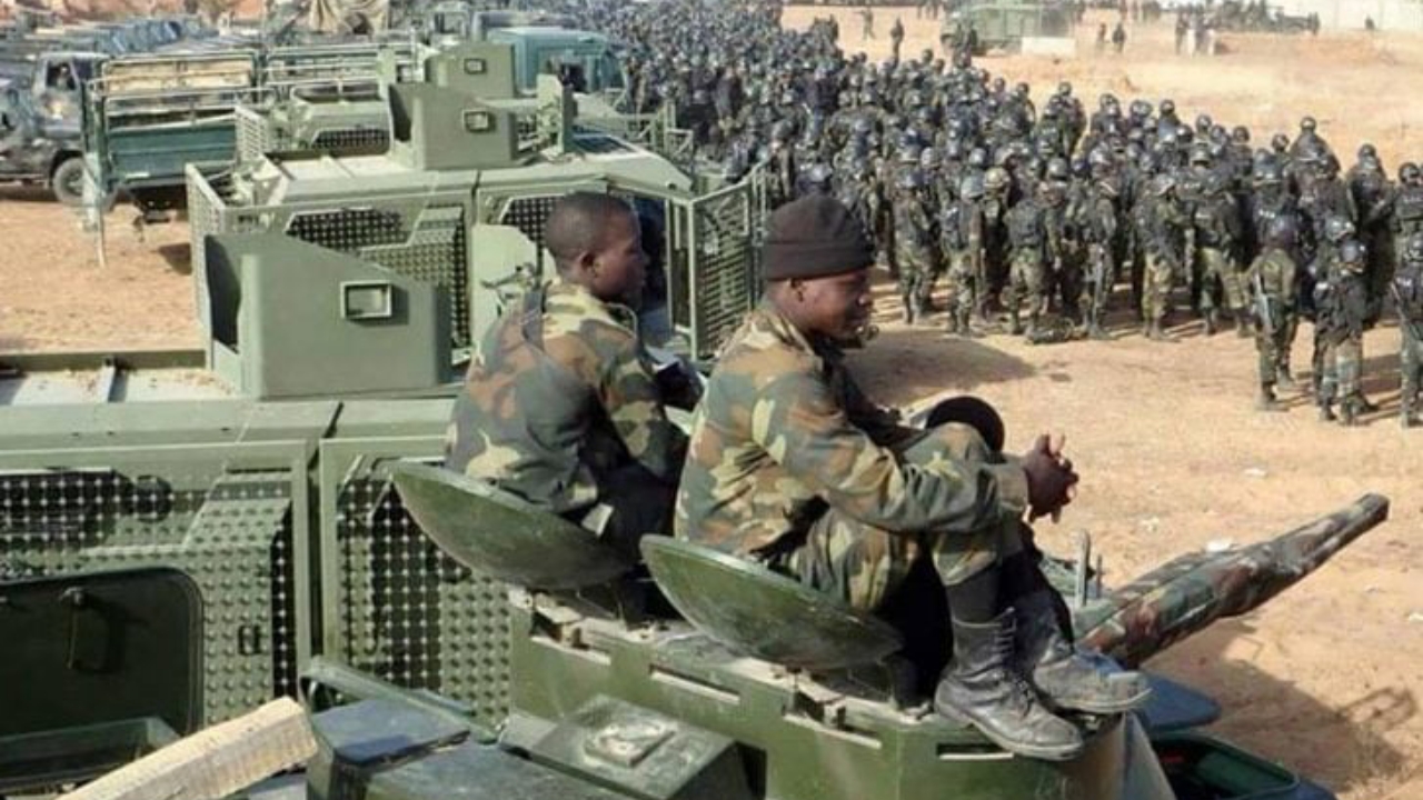 Troops of the Nigerian army