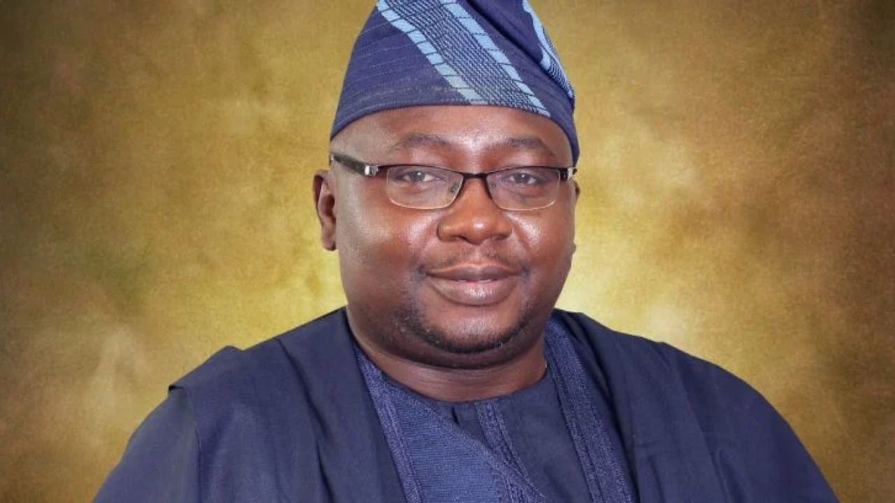 The Minister of Power, Adebayo Adelabu