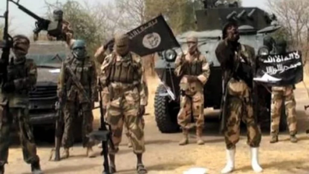 FILE: Members of Boko Haram sect - National News