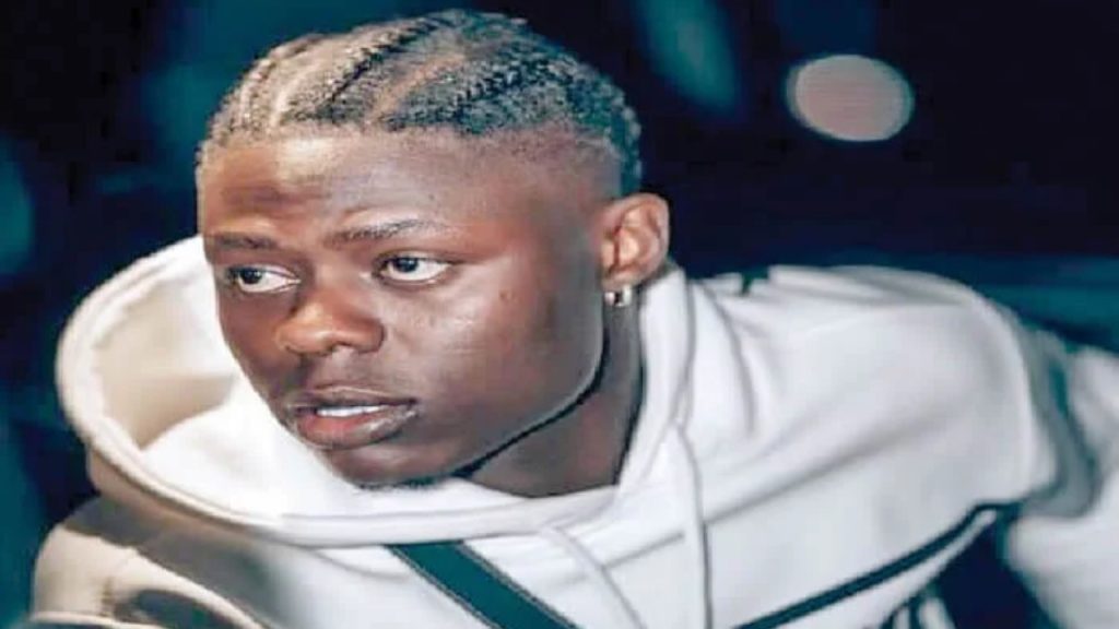 A file copy of late Afrobeats singer, Mohbad - National News