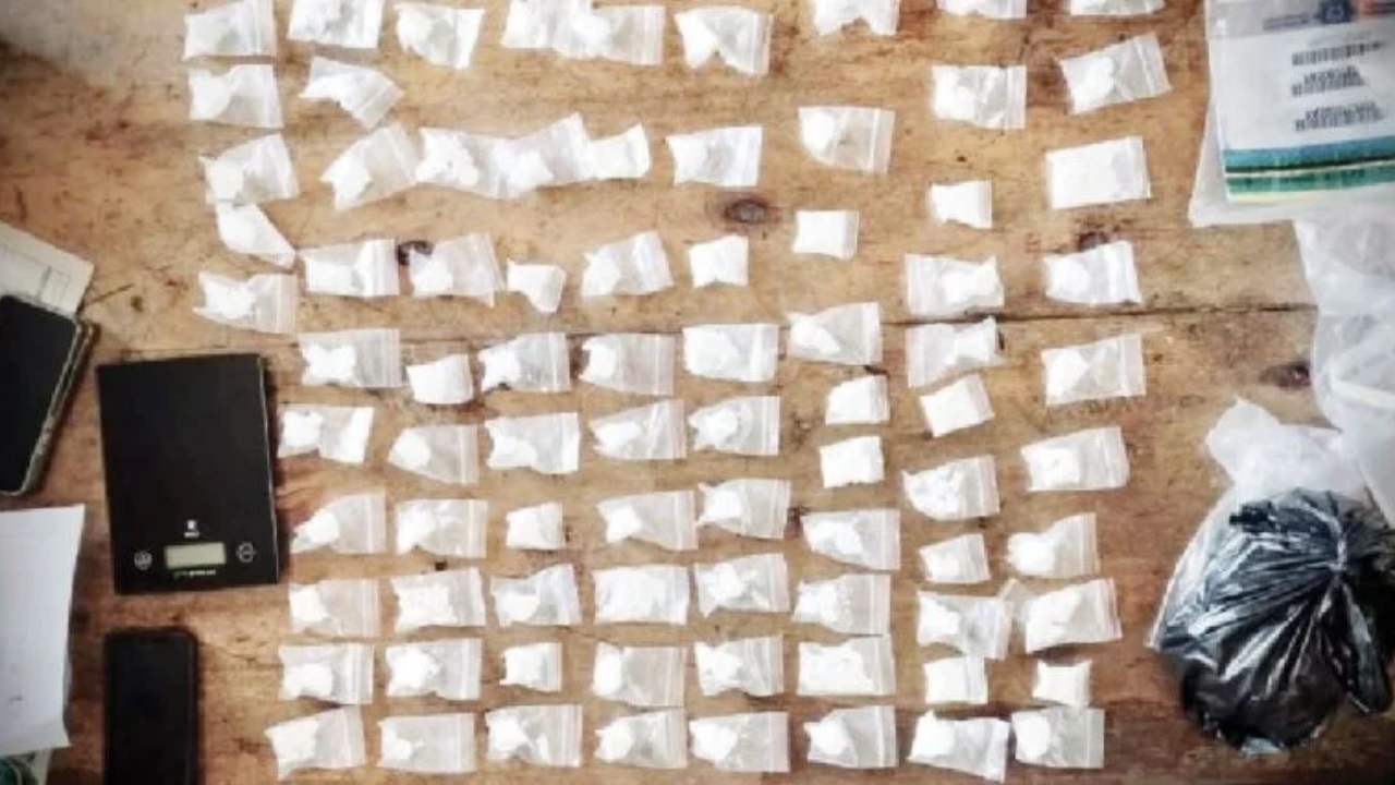 The exhibit - National News