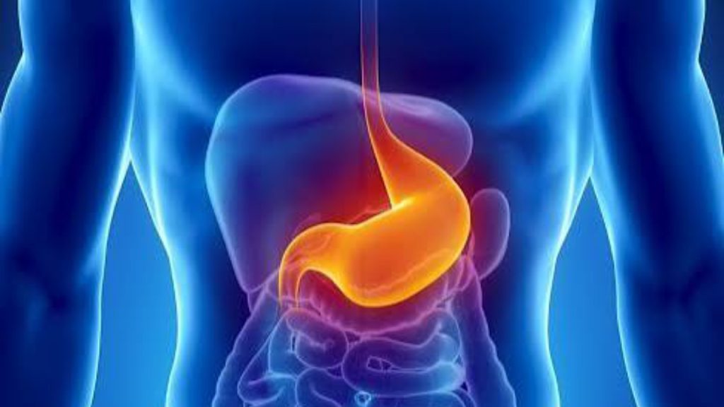 Stomach acid diagram - National News