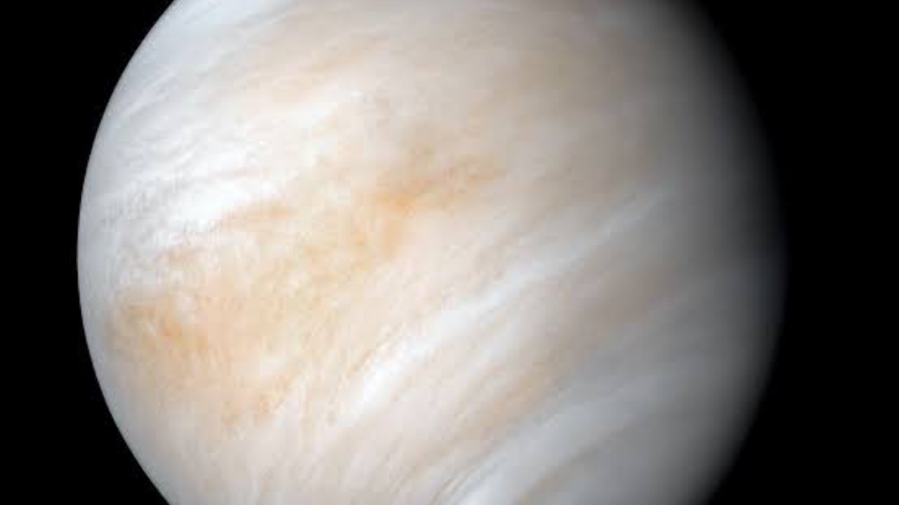 Image of Venus - National News