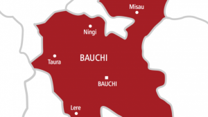 File photo: Bauchi state map - National News
