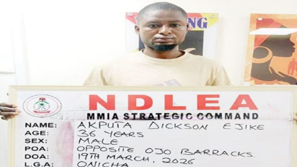 The suspect - National News