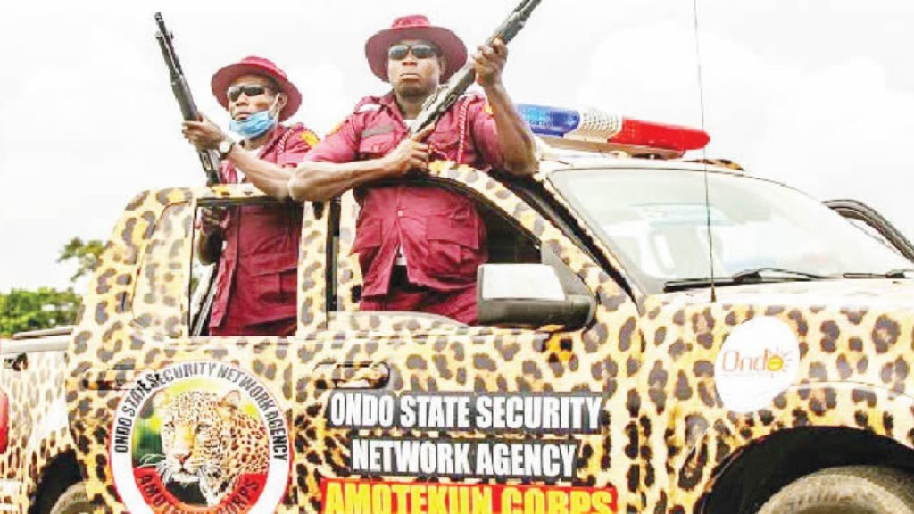 Amotekun - National News