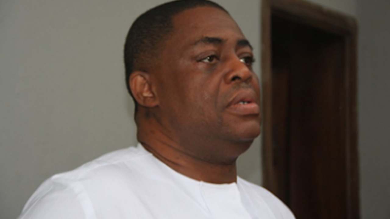 Femi Fani-Kayode - National News