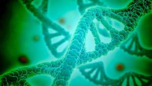 DNA - National News