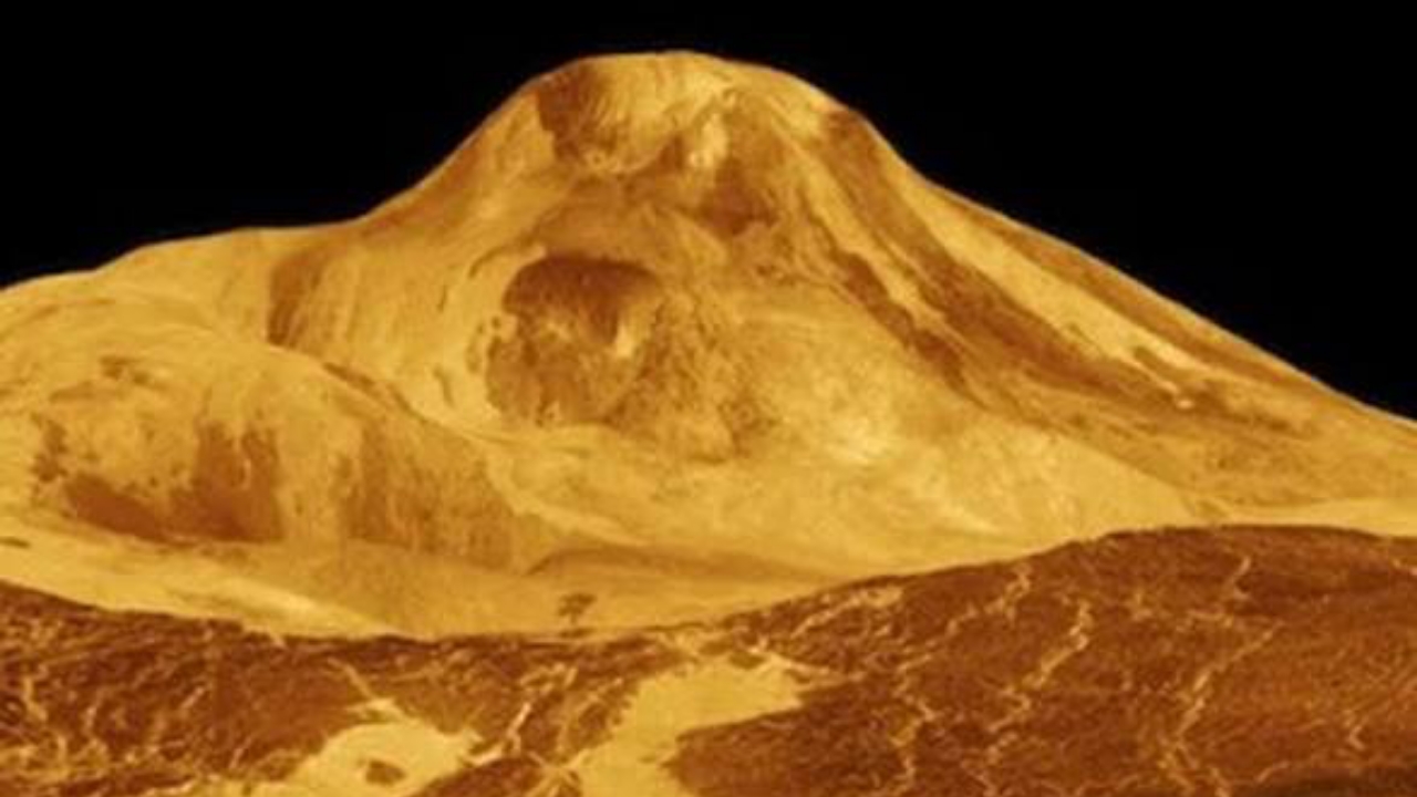 Venus - National News