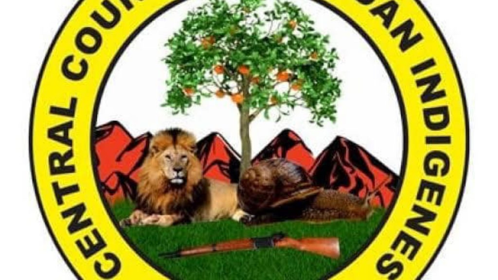 CCII logo - National News