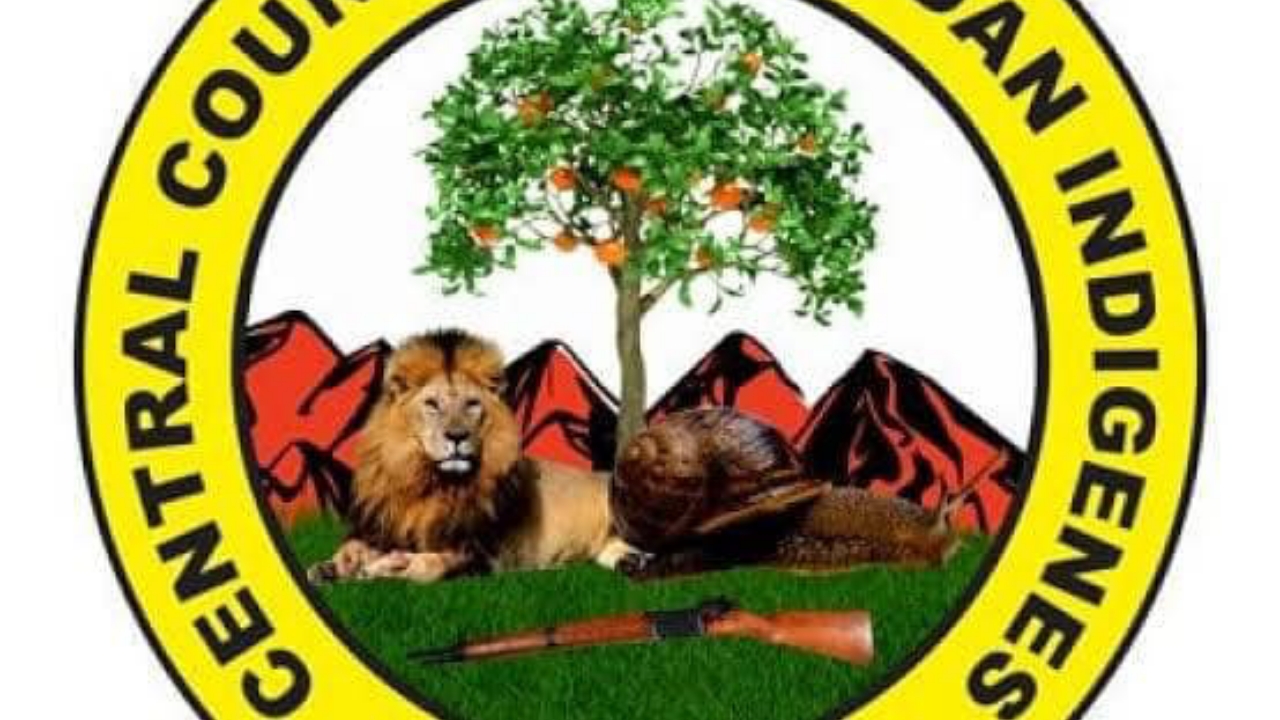 CCII logo - National News