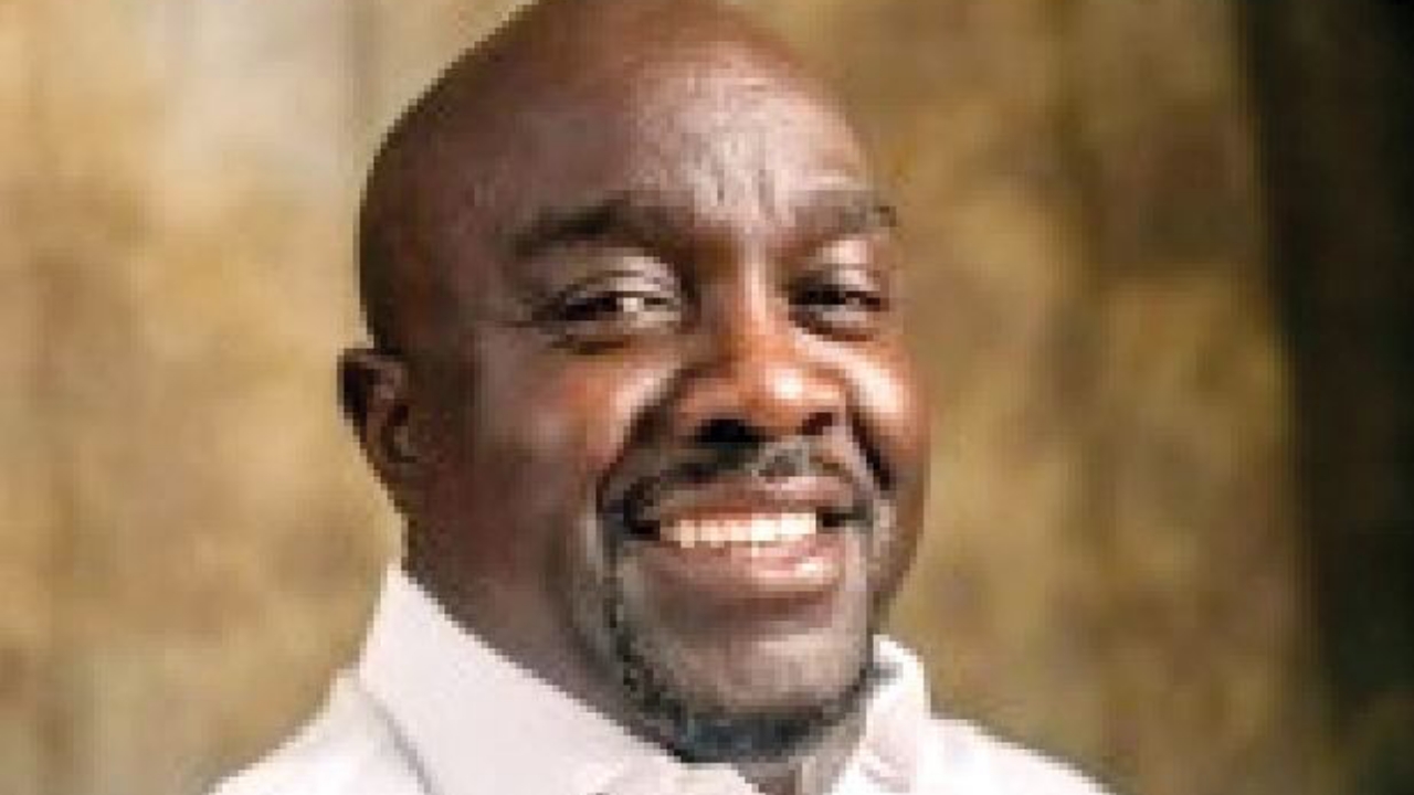 Director General of the NSC, Bukola Olopade - National News