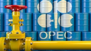 Organisation of the Petroleum Exporting Countries - National News