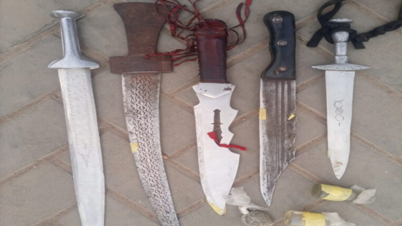 Some of the weapons recovered during the raids - National News
