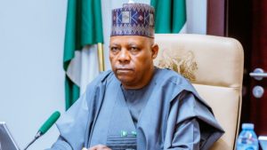 Vice President Kashim Shettima - National News