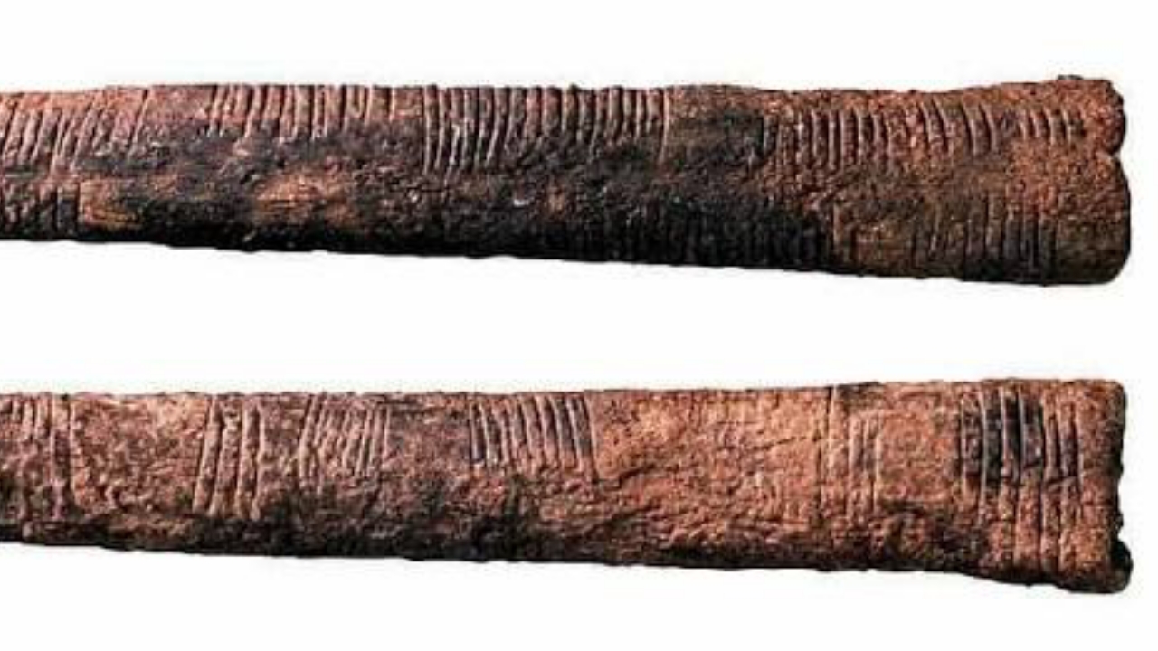 Ishango Bone - National News