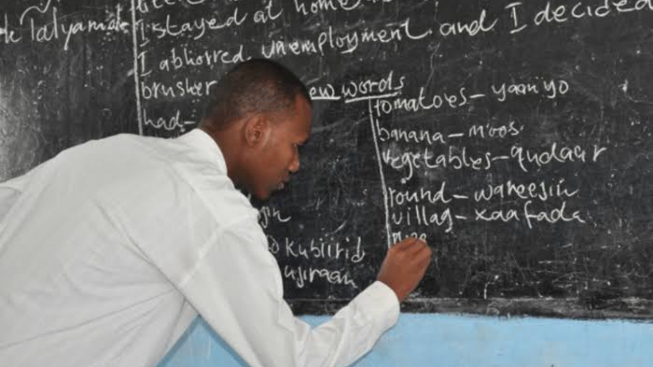 A male teacher - National News