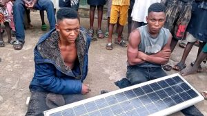 The thieves - National News