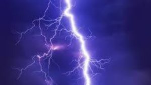 Lightning - National News