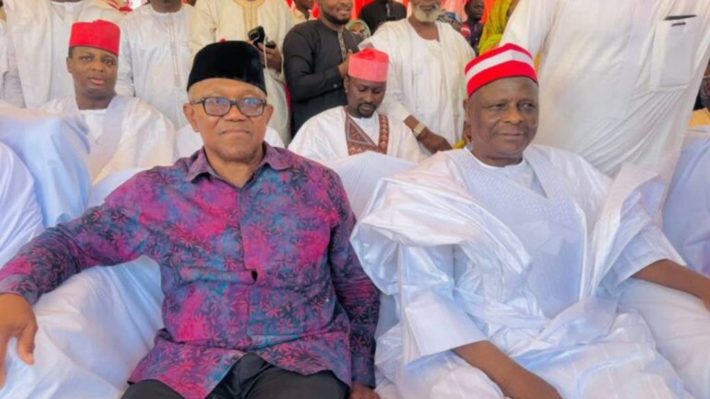 Peter Obi and Rabiu Kwankwaso - National News