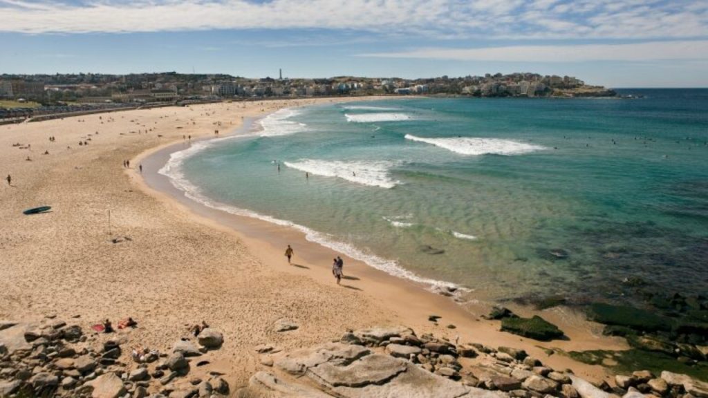 Bondi beach in Sydney - National News