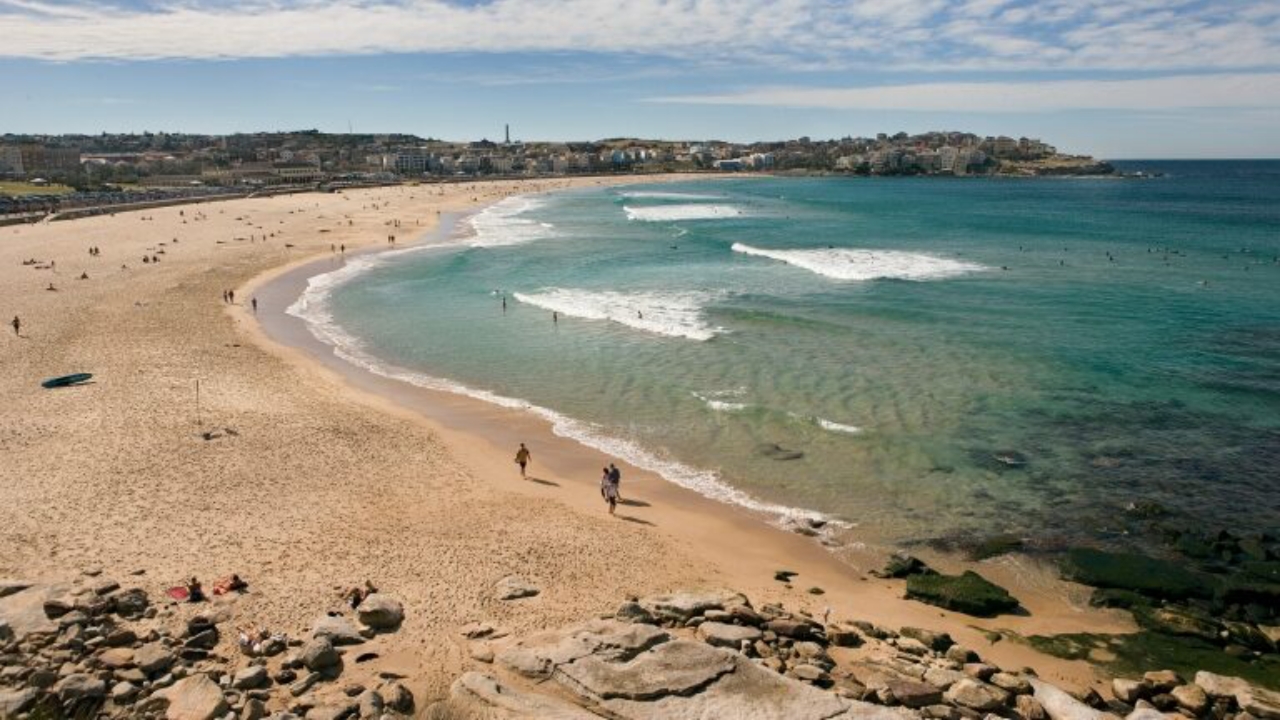 Bondi beach in Sydney - National News