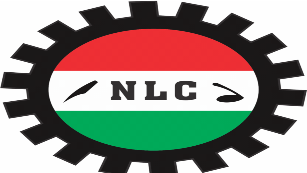 NLC logo - National News