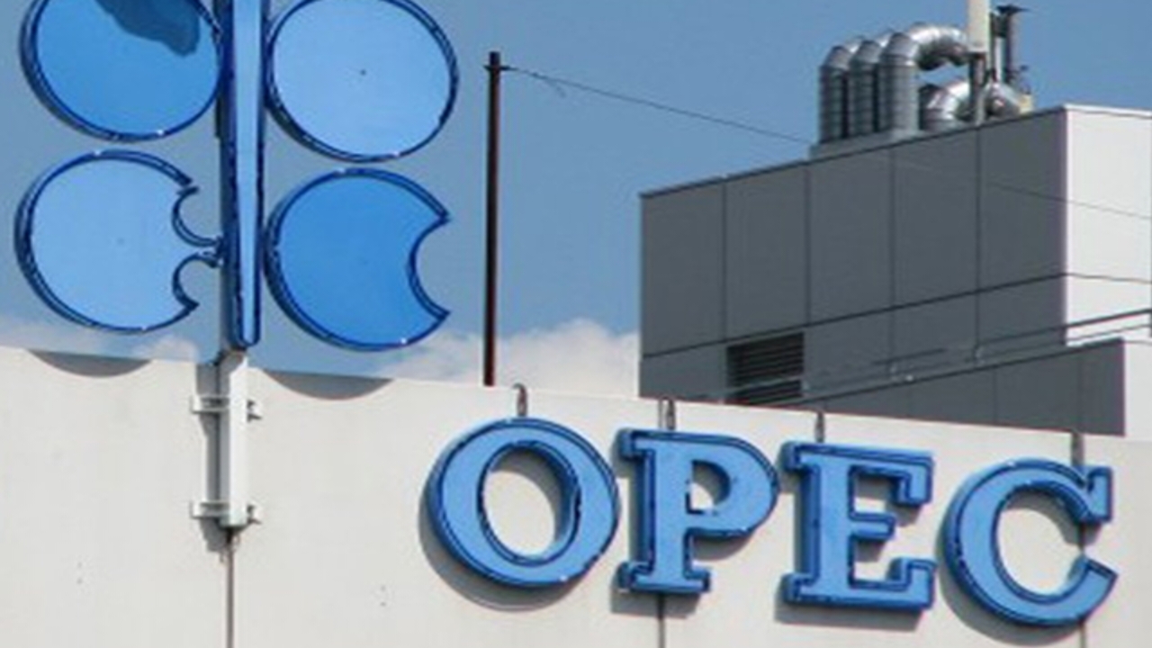 OPEC logo - National News