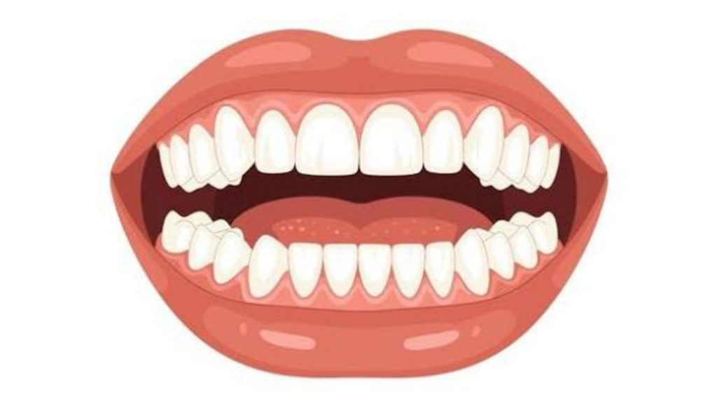Human teeth - National News