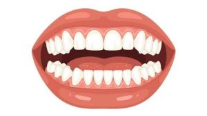 Human teeth - National News