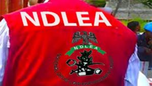 NDLEA official - National News
