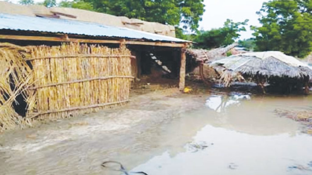 Rainstorm - National News