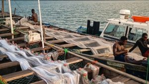 Fishermen - National News